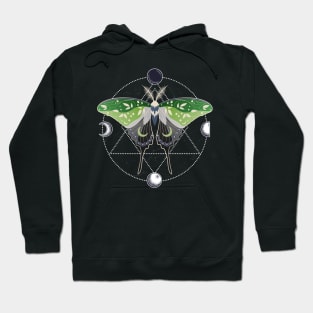 Aromantic Luna Moth Celestial Cottagecore LGBT Pride Flag Hoodie